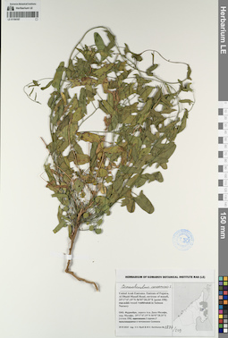 LE 01194167