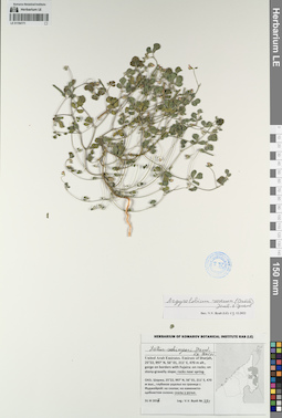 LE 01194171