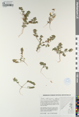 LE 01194173
