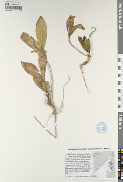 LE 01194224
