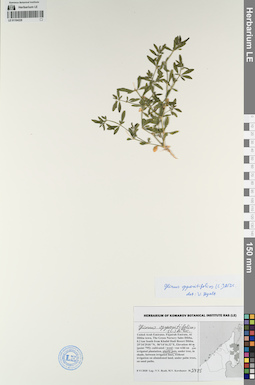 LE 01194228