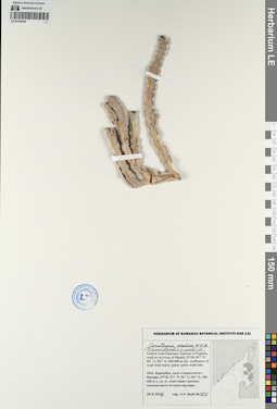 LE 01194248