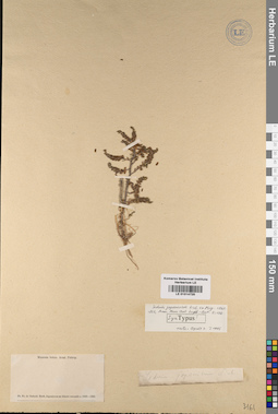 LE 01014725