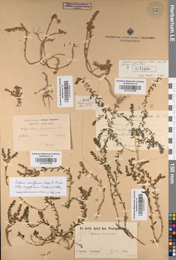 LE 01014739