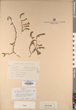 LE 01014741