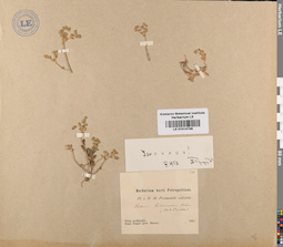 LE 01014746