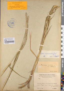 LE 01234316