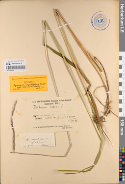 LE 01234381
