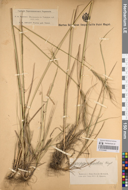 LE 01234428