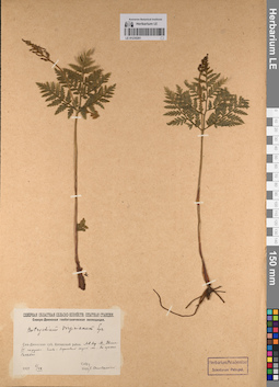 LE 01235201