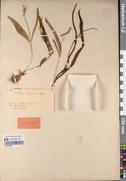LE 01197895