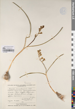 LE 01197901