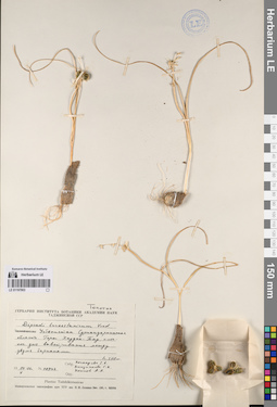 LE 01197903