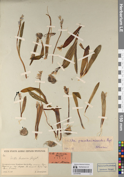 LE 01197904