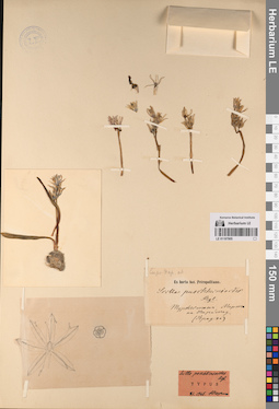 LE 01197905