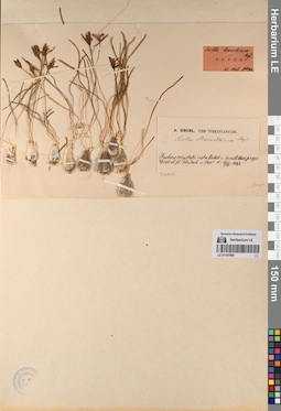 LE 01197906