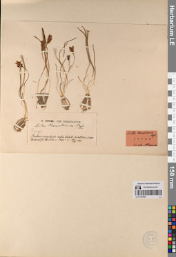 LE 01197907