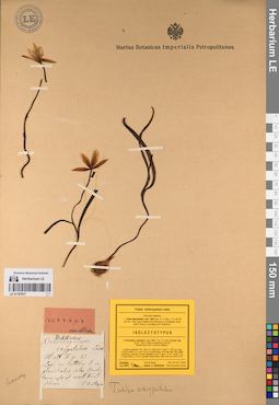 LE 01197917