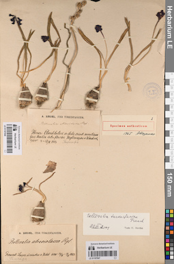 LE 01197948