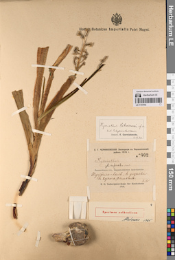 LE 01197952