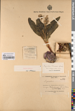 LE 01197954