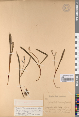 LE 01197965