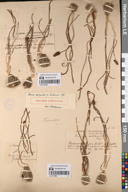 LE 01197967