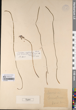 LE 01197970