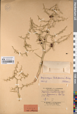 LE 01197975