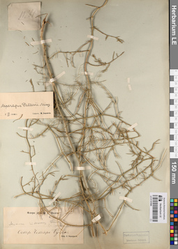 LE 01197986