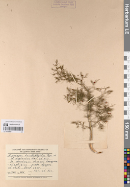 LE 01197997