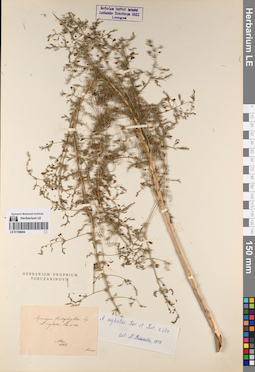 LE 01198004
