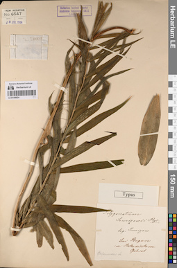 LE 01198024
