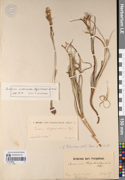 LE 01198047