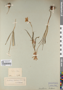 LE 01198059