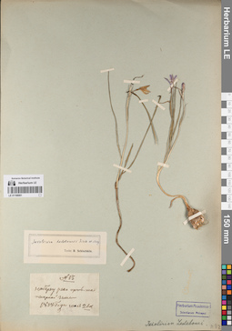 LE 01198061