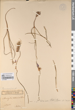 LE 01198063