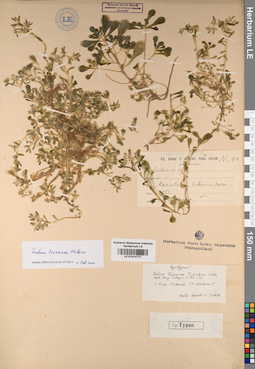 LE 01014777
