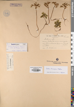 LE 01014779