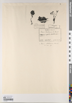 LE 01194274