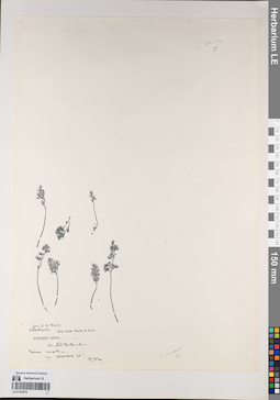 LE 01194275
