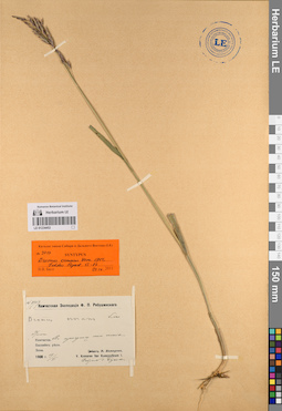LE 01234453