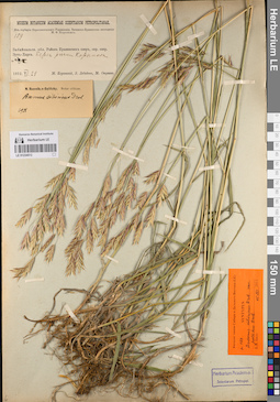 LE 01234513