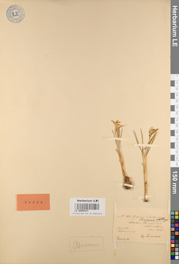 LE 00050227