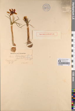LE 01198248