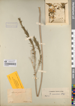 LE 01053911