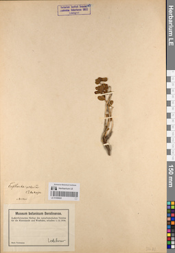 LE 01056925