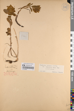 LE 01056929