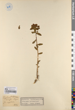 LE 01056937