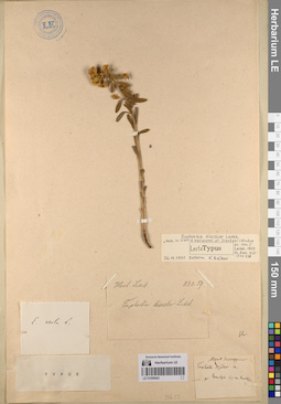 LE 01056943